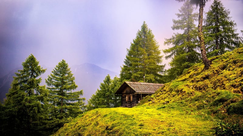Off-the-grid cabin in the woods