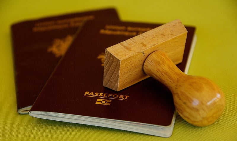 Travel Wallet